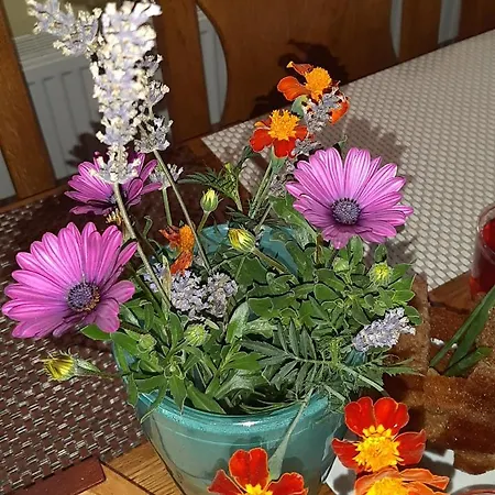 Gospodarstwo wiejskie Villa_vovkal Jabłonica